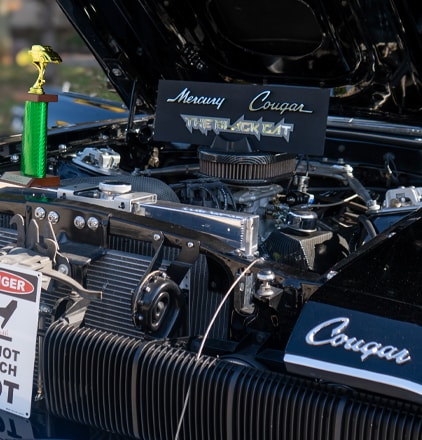 Car show detail